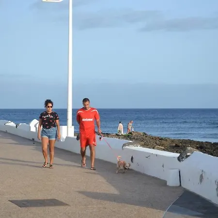 Daire Sun-apartment Mar - Direkt Am Meer/pool - Wylan *